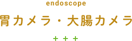 胃カメラ・大腸カメラ